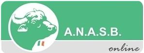 ANASB