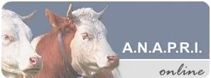 ANAPRI